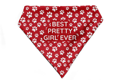 Fido's Favourite - Bandana