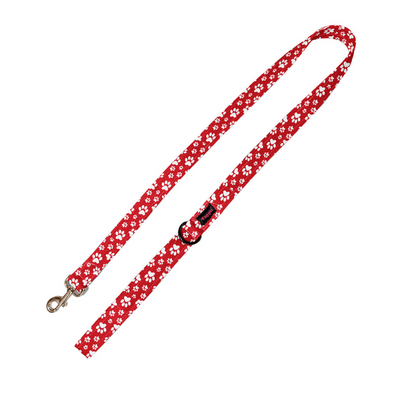 Fido's Favourite Leash