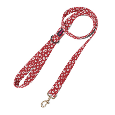 Fido's Favourite Leash