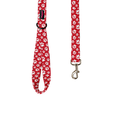 Fido's Favourite Leash