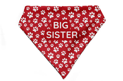 Fido's Favourite - Bandana