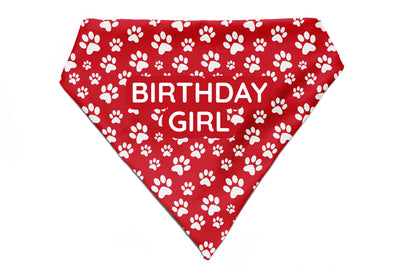 Fido's Favourite - Bandana