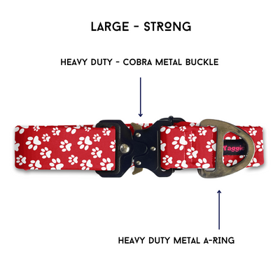 Fido's Favourite - Collar & Tag