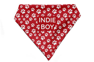 Fido's Favourite - Bandana