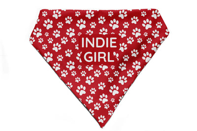Fido's Favourite - Bandana