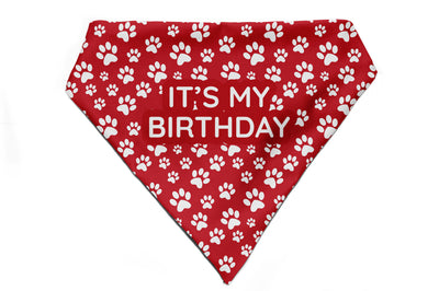 Fido's Favourite - Bandana