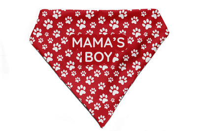 Fido's Favourite - Bandana