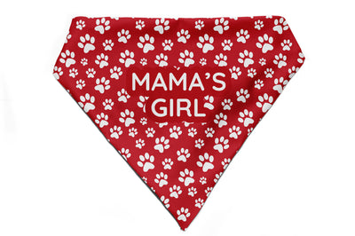 Fido's Favourite - Bandana