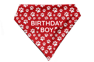 Fido's Favourite - Bandana