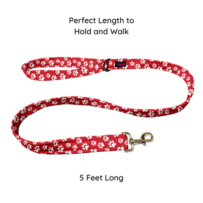 Fido's Favourite Collar-Leash
