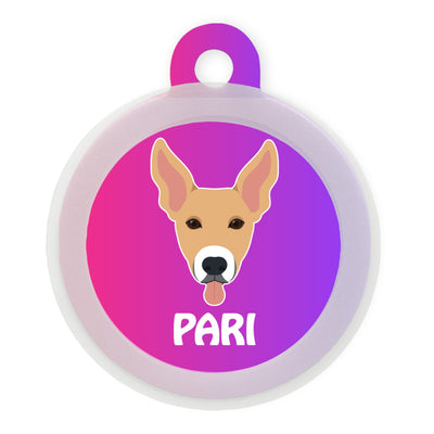 Indie BR (ears up)