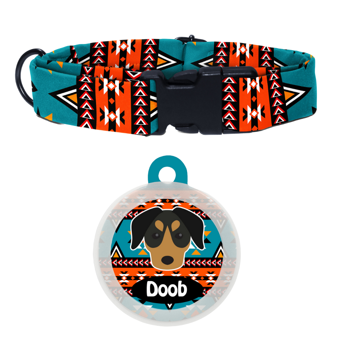 German Pinscher  - Collar & Tag