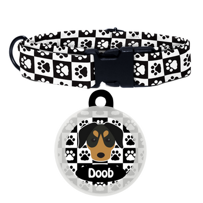 German Pinscher  - Collar & Tag