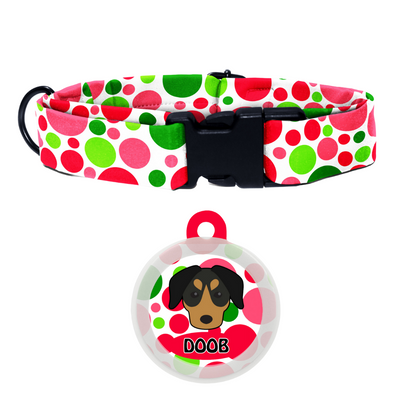 German Pinscher  - Collar & Tag