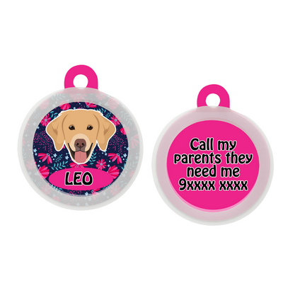 Golden Retriever - Collar & Tag