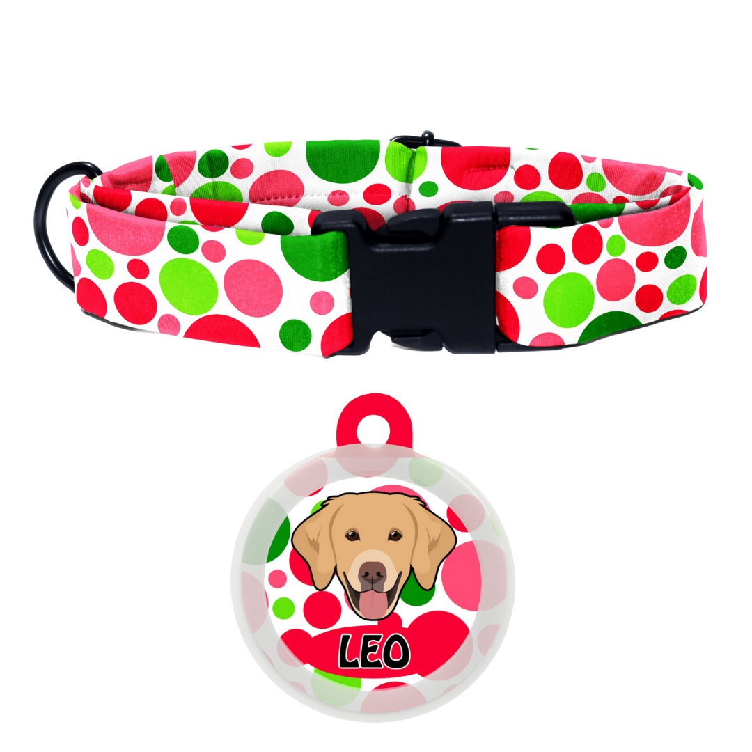 Golden Retriever - Collar & Tag