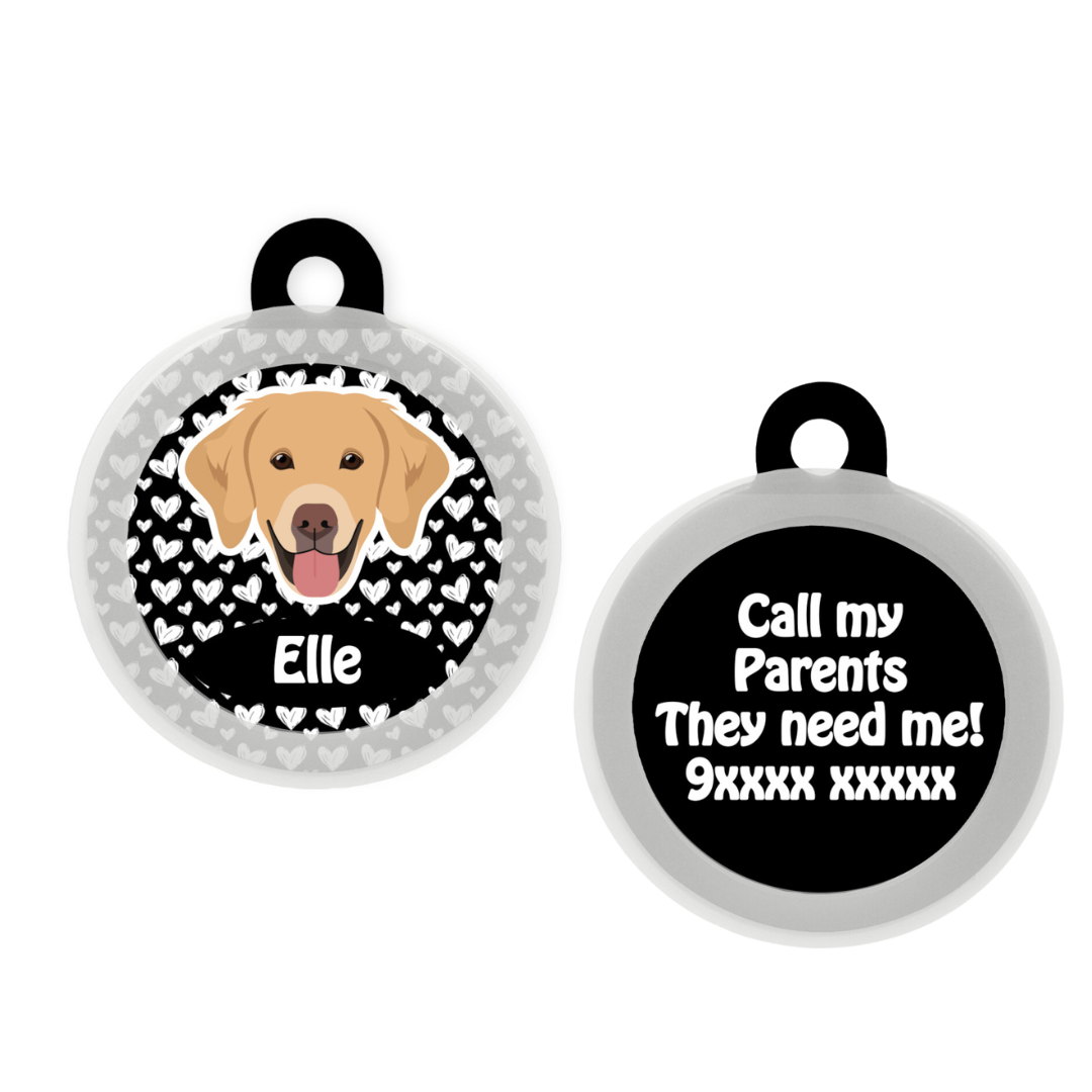 Golden Retriever - Collar & Tag