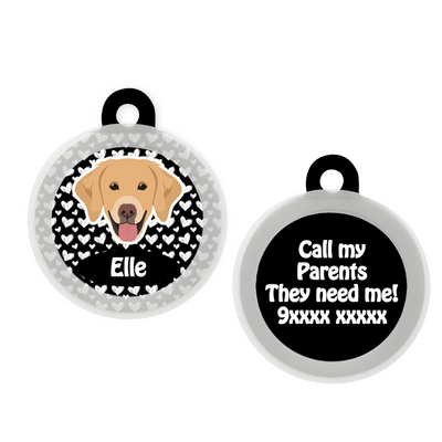 Golden Retriever - Collar & Tag