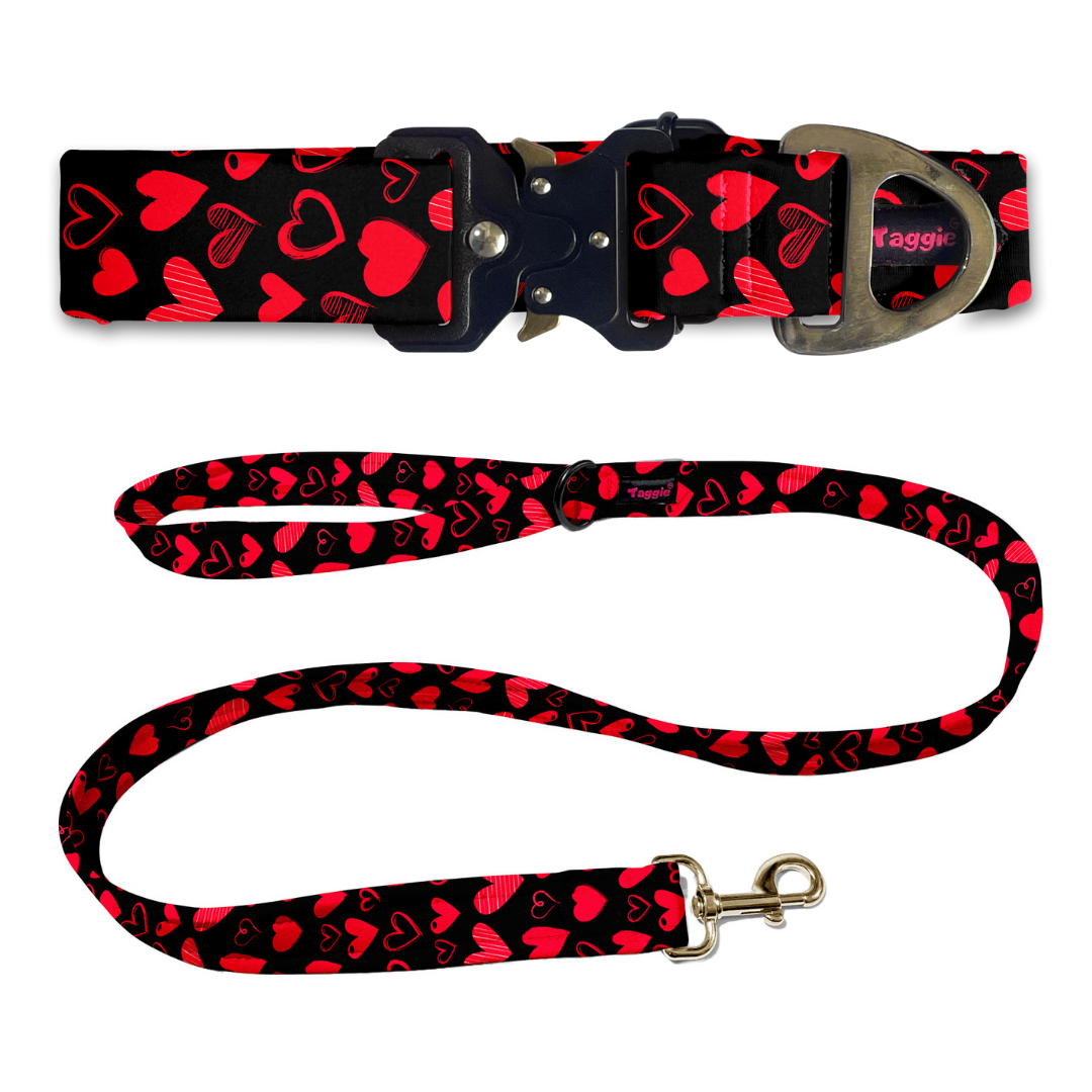 Heartstrings Collar-Leash