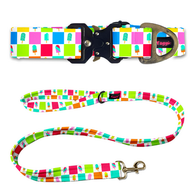 Ice Pop Innocence Collar-Leash