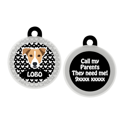 Indie BRW (ears down) - Collar & Tag