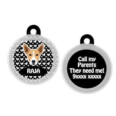 Indie BRW (ears up)  - Collar & Tag