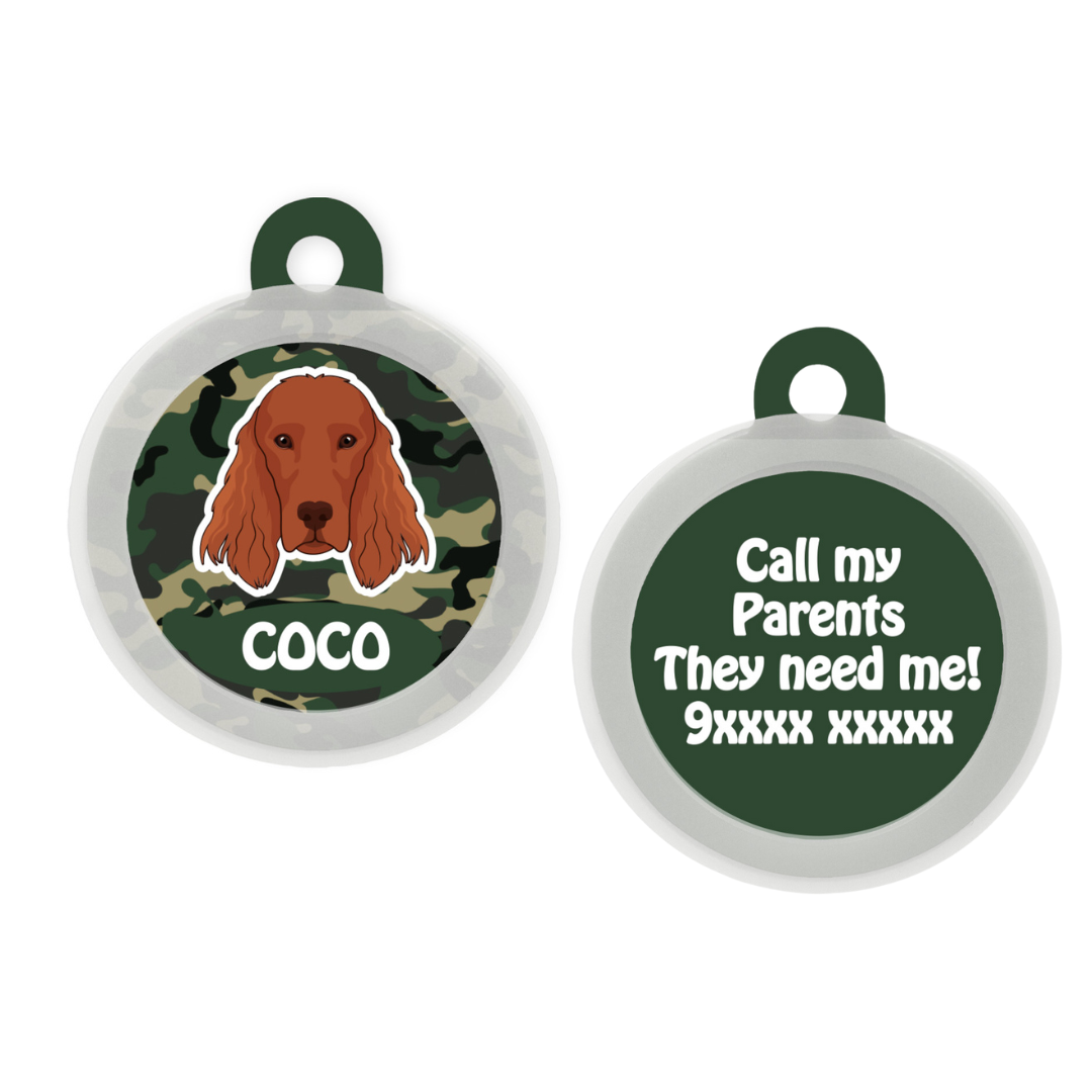 Irish Setter - Collar & Tag