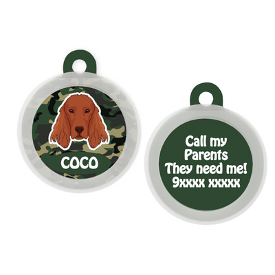 Irish Setter - Collar & Tag