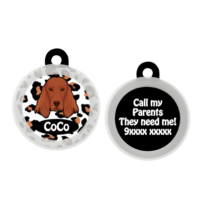 Irish Setter - Collar & Tag