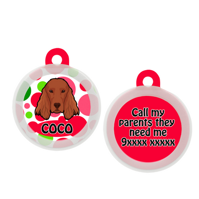 Irish Setter - Collar & Tag