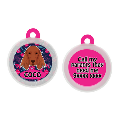 Irish Setter - Collar & Tag