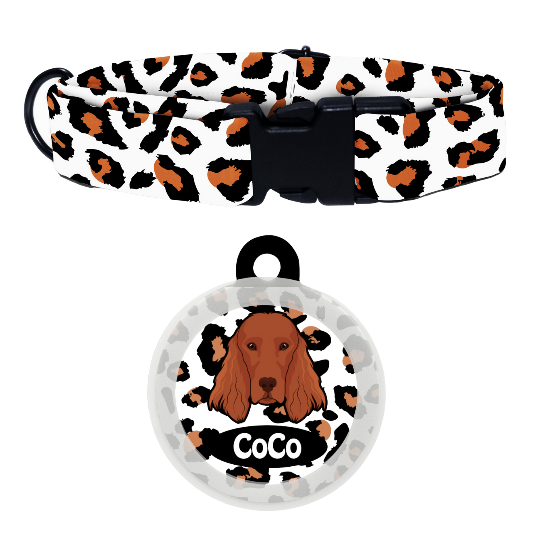 Irish Setter - Collar & Tag