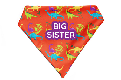 Jurassic Joy - Bandana