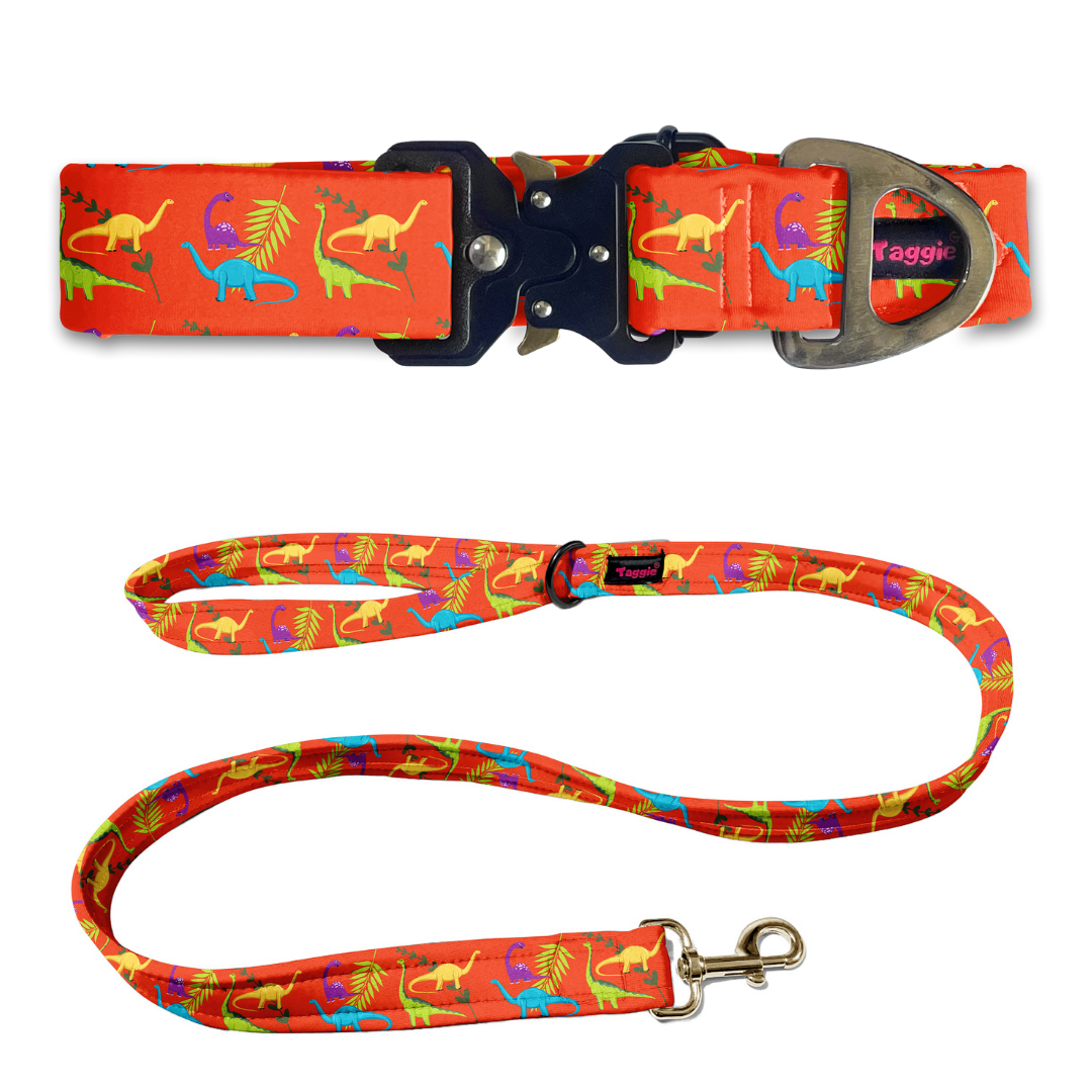 Jurassic Joy Collar-Leash