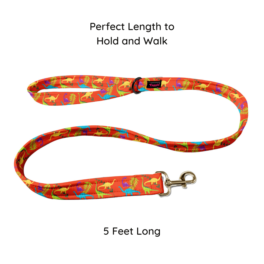 Jurassic Joy Collar-Leash