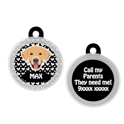 Labrador (White/Brown)  - Collar & Tag