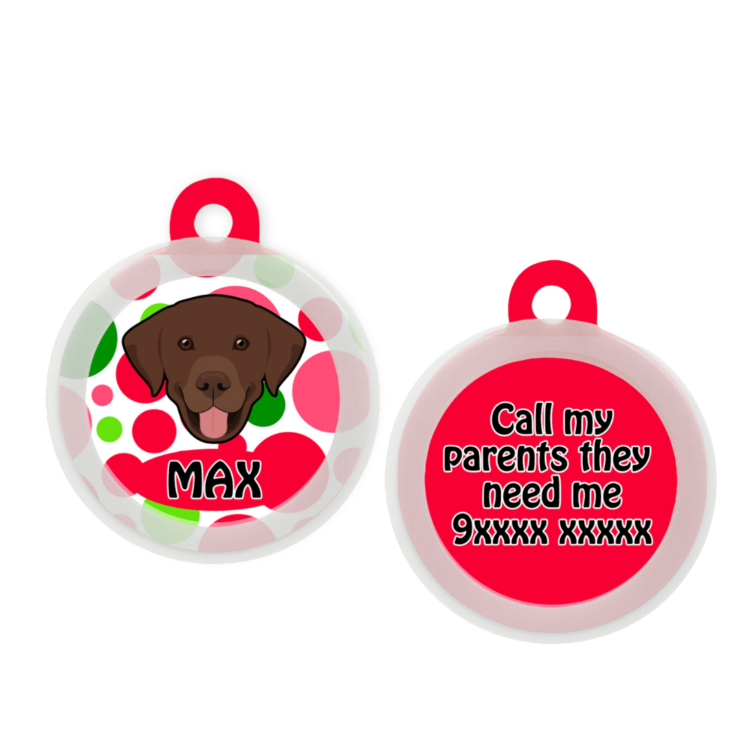 Labrador (Chocolate Brown)  - Collar & Tag