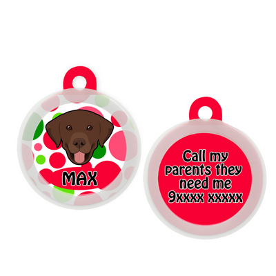 Labrador (Chocolate Brown)  - Collar & Tag