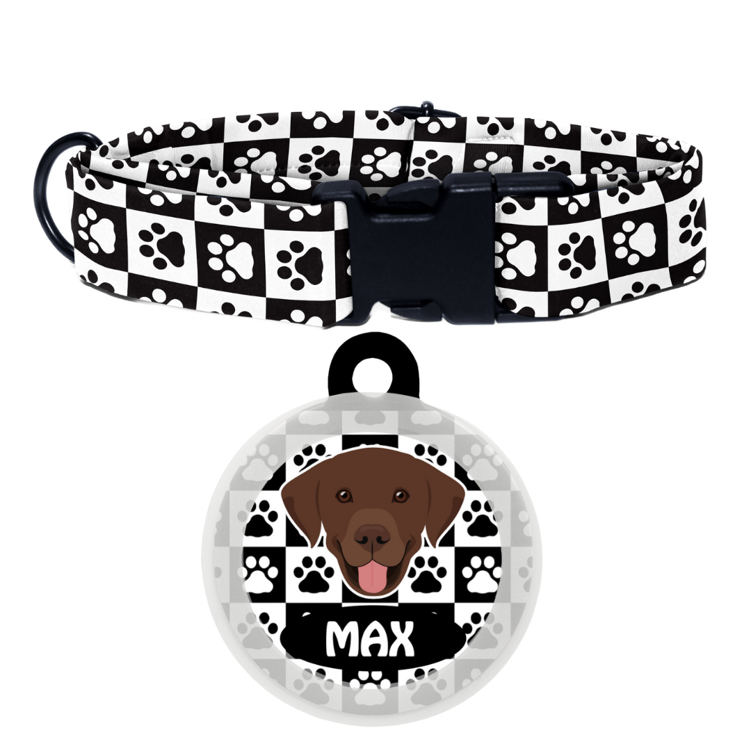 Labrador (Chocolate Brown)  - Collar & Tag