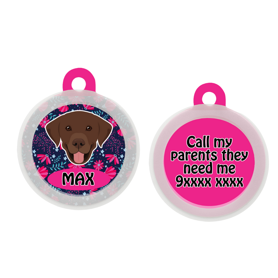 Labrador (Chocolate Brown)  - Collar & Tag