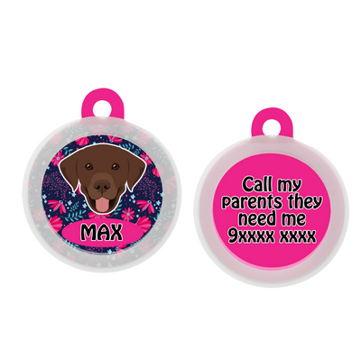 Labrador (Chocolate Brown)  - Collar & Tag