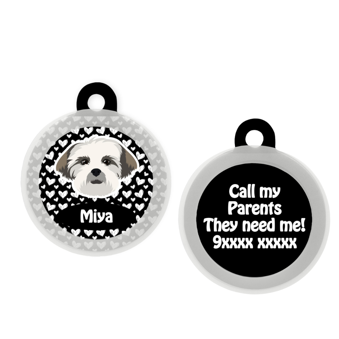 Lhasa Apso - Collar & Tag