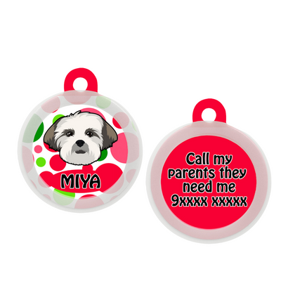 Lhasa Apso - Collar & Tag