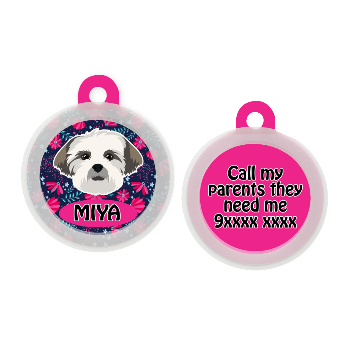 Lhasa Apso - Collar & Tag