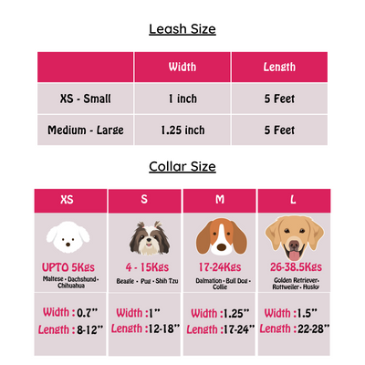 Pretty Pouts Collar-Leash