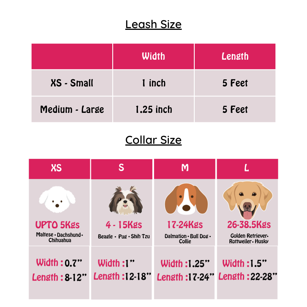 Checked Charm Collar-Leash