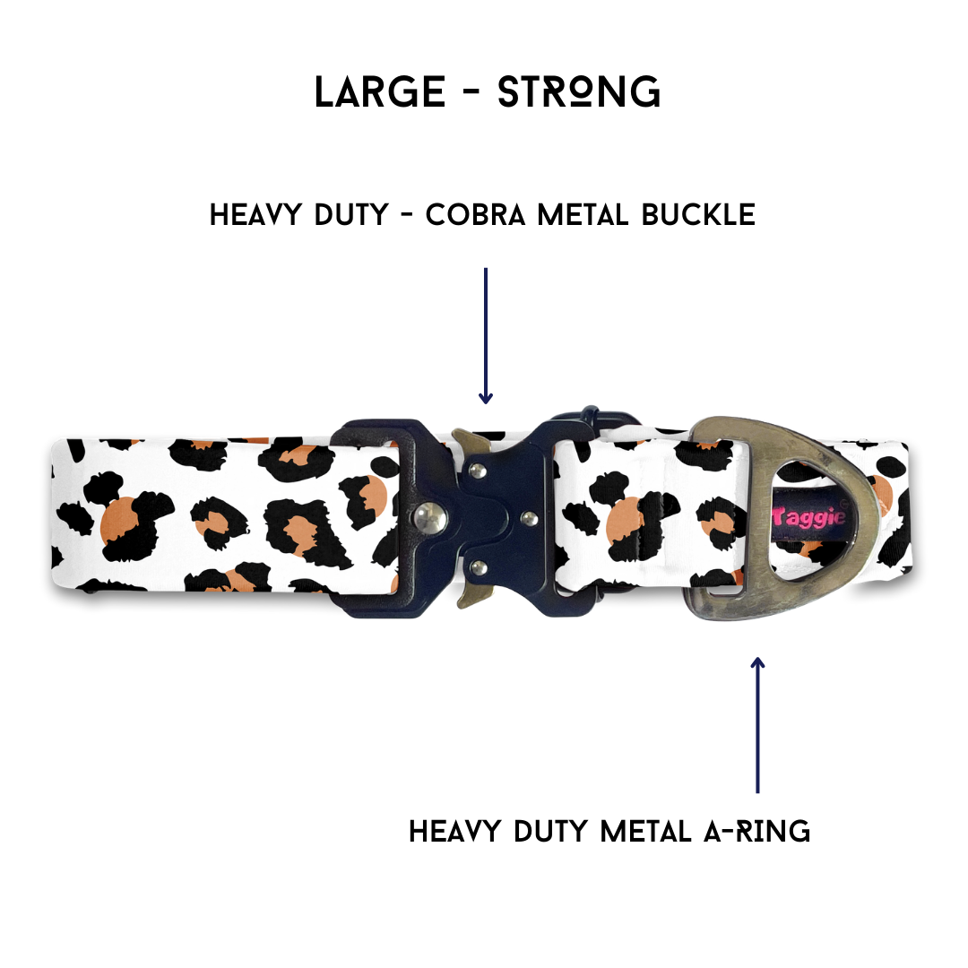Pomeranian - Collar & Tag