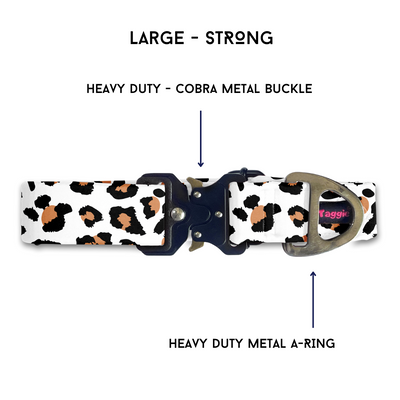 Pomeranian - Collar & Tag