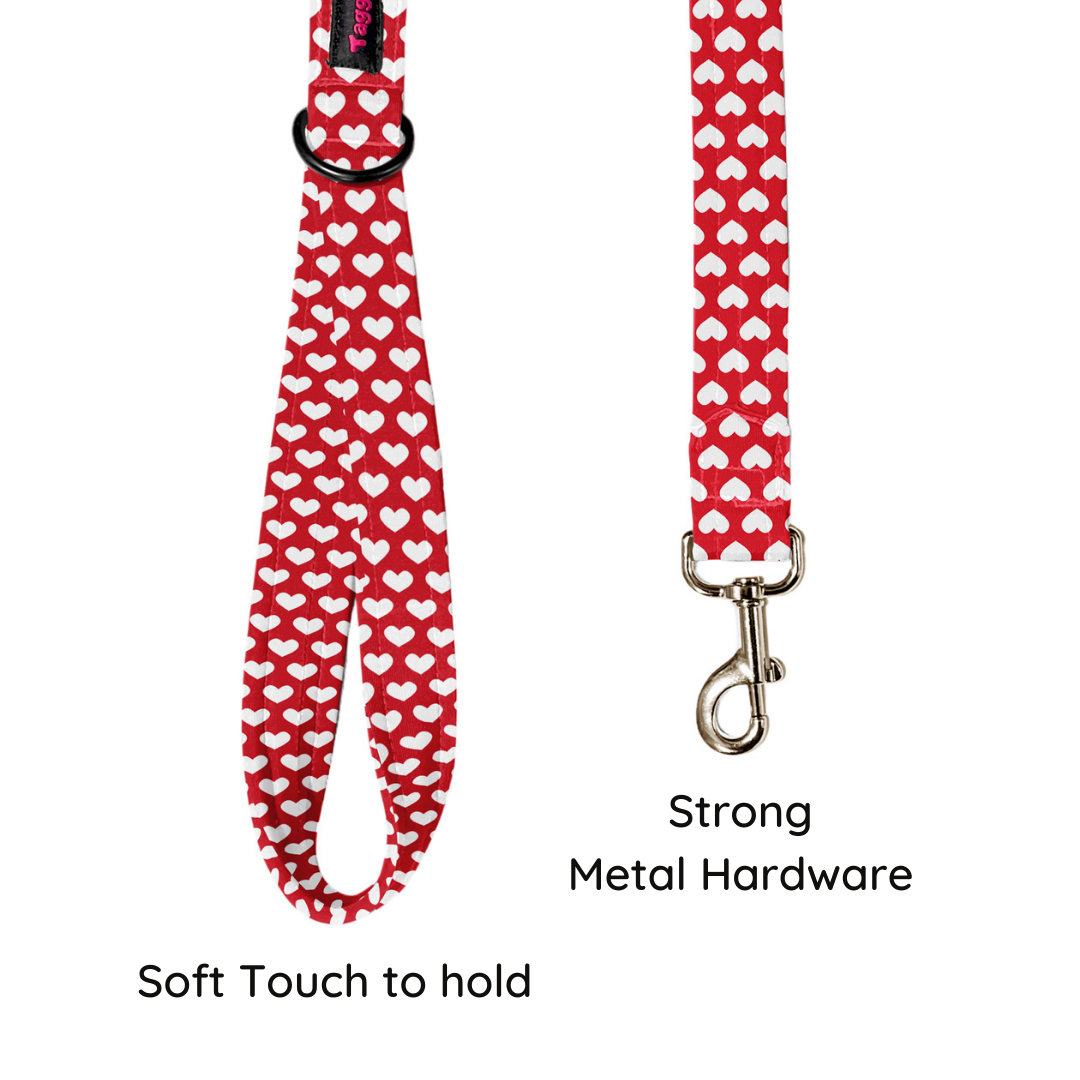 Love & Loyalty Leash