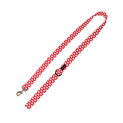 Love & Loyalty Leash